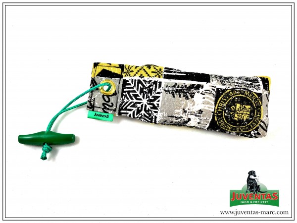 Juventas Mini-Fest Dummy