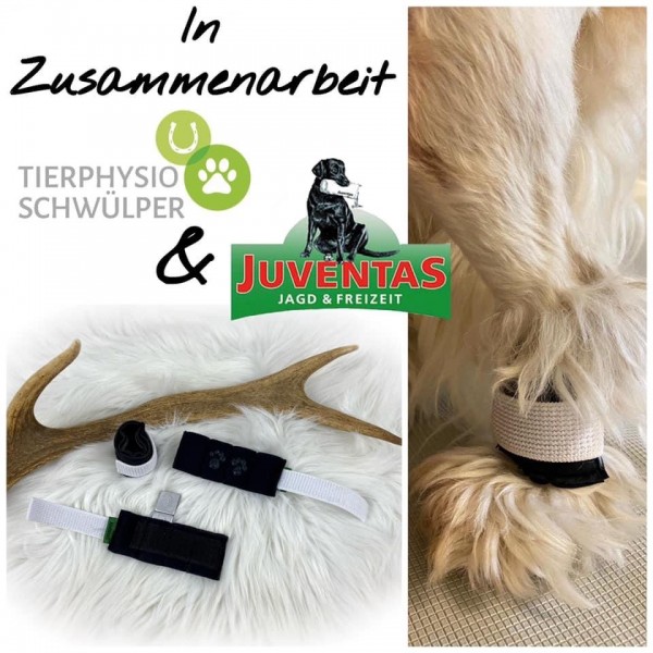 Juventas Gewichtsmanschette für kleine und sehr kleine Hunde