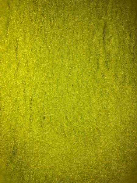 Pet Isofloor Vetbed 150x100 lime grün